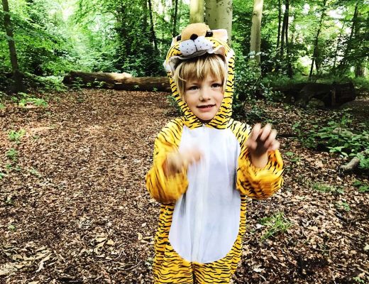 Kinderfeestje - Spelletjes, knutselideeën en versiering voor een tijger partijtje