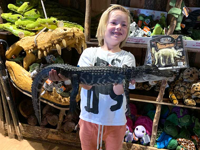 Durf jij een krokodil vast te houden? Dat kan in de krokodillen dierentuin van Denemarken!