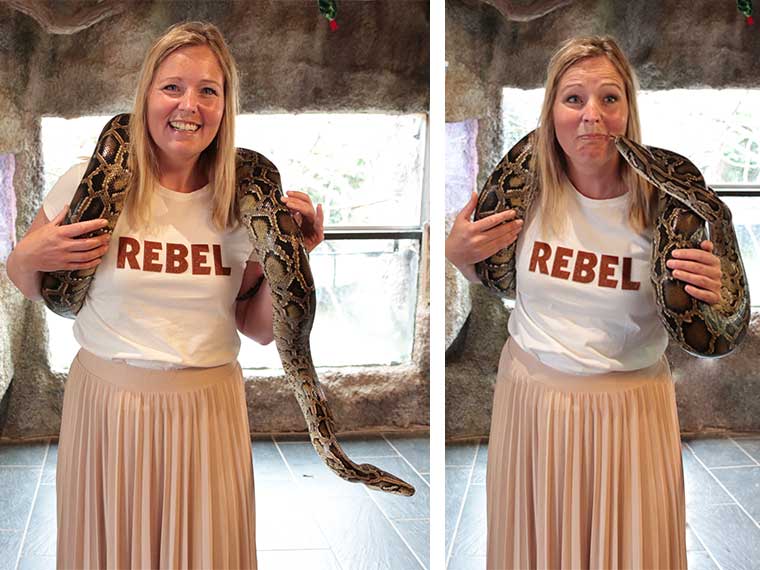 Durf jij een python vast te houden? Dat kan in de krokodillen dierentuin van Denemarken!