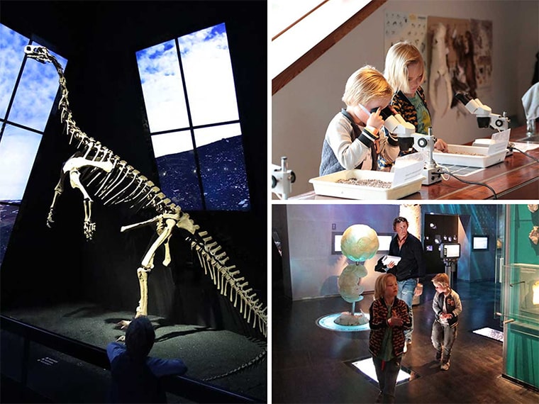 Naast de beroemde krijtrotsen van Denemarken; Møns Klint, vind je het Geocenter. Een tof interactief museum met dino's, fossielen en meer.