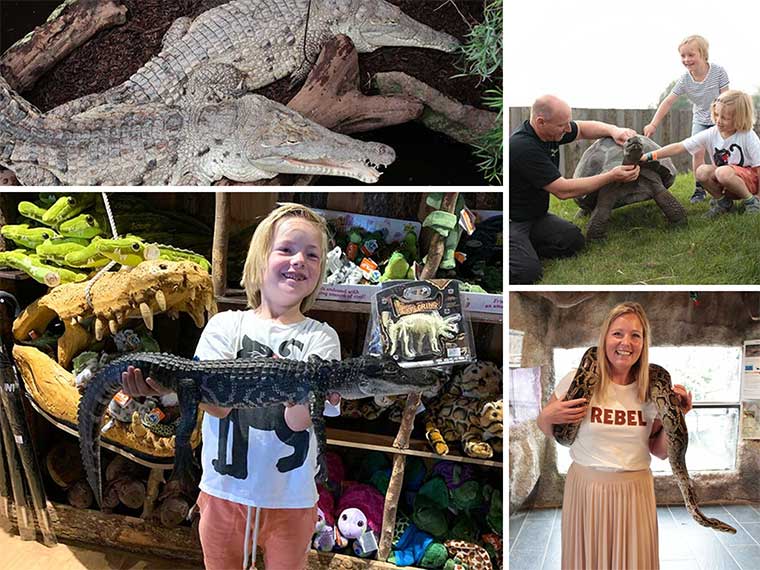 Op Falster vind je de Krokodille Zoo. Het is de enige plek ter wereld waar je alle 23 krokodillensoorten kunt zien. En ze hebben er ook reuze schildpadden en pythons. Absoluut een bezoekje waard!