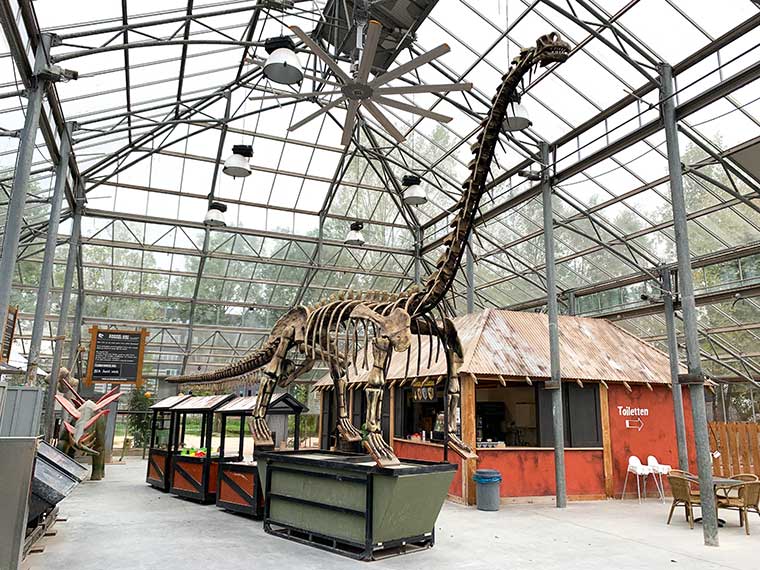 Van dino park tot dinosaurus museum & meer - Dit zijn dé tofste dino uitjes in Nederland!