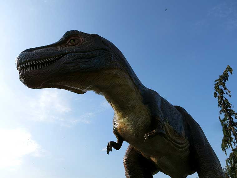 Van dino park tot dinosaurus museum & meer - Dit zijn dé tofste dino uitjes in Nederland.