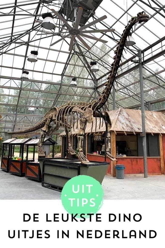 DINO UITJES - Een gaaf én super betaalbaar dino park, een indrukwekkend dinosaurus museum & nog veel meer. Dit zijn de tofste dino uitjes!
