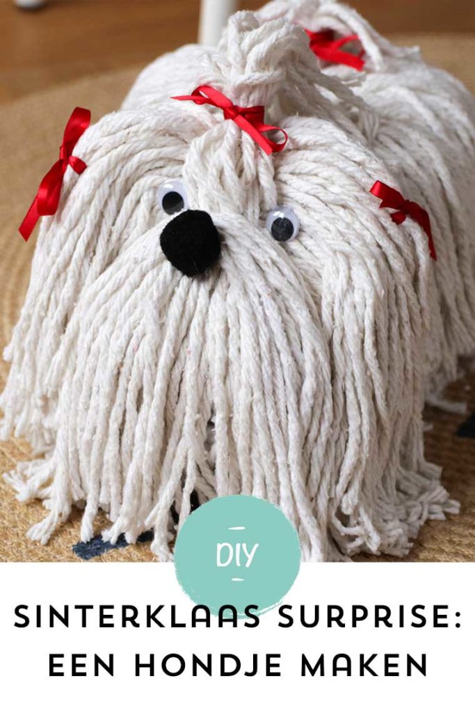 Surprise hond maken - Dit schatje wil iedereen voor Sinterklaas!