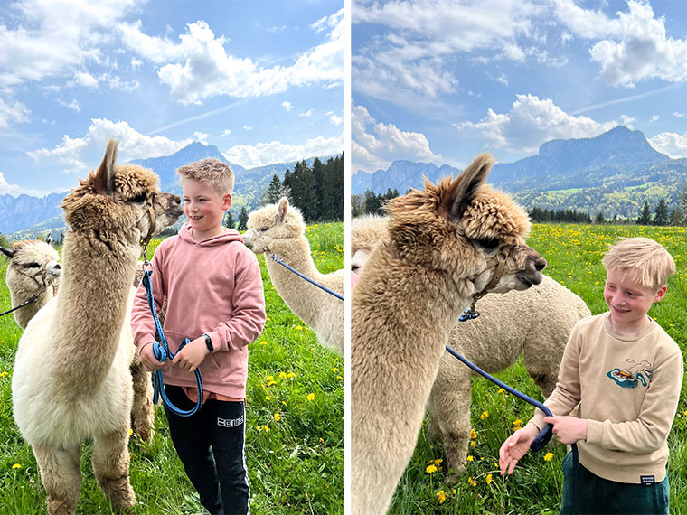 Dit zijn dé tips voor een onvergetelijke zomervakantie in OberÖsterreich met kinderen!