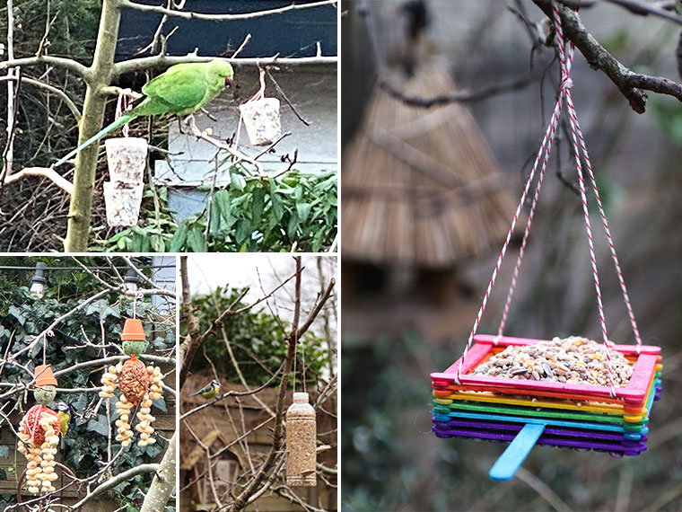 Zelf vogelvoer maken met kinderen | 5 Leuke & creatieve knutsel ideeën!
